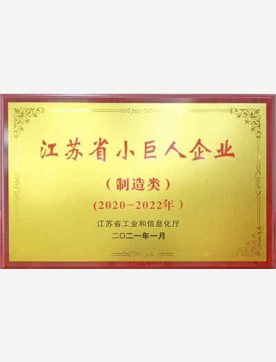 省小巨人獎(jiǎng)牌